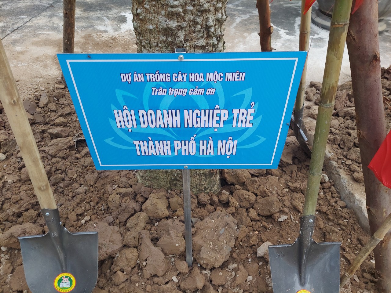 z3037701558107_5871164cccdacae06cb3e069dfdb4206